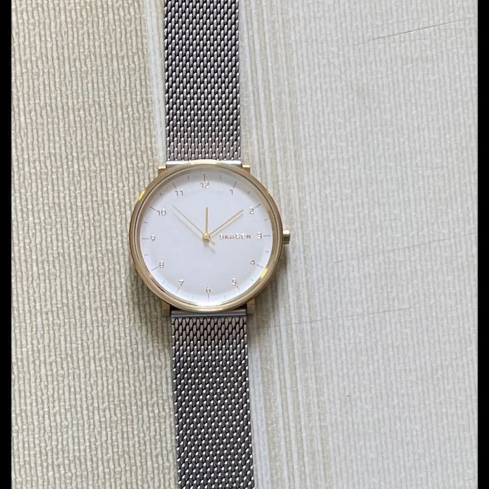 Men’s Skagen Watch